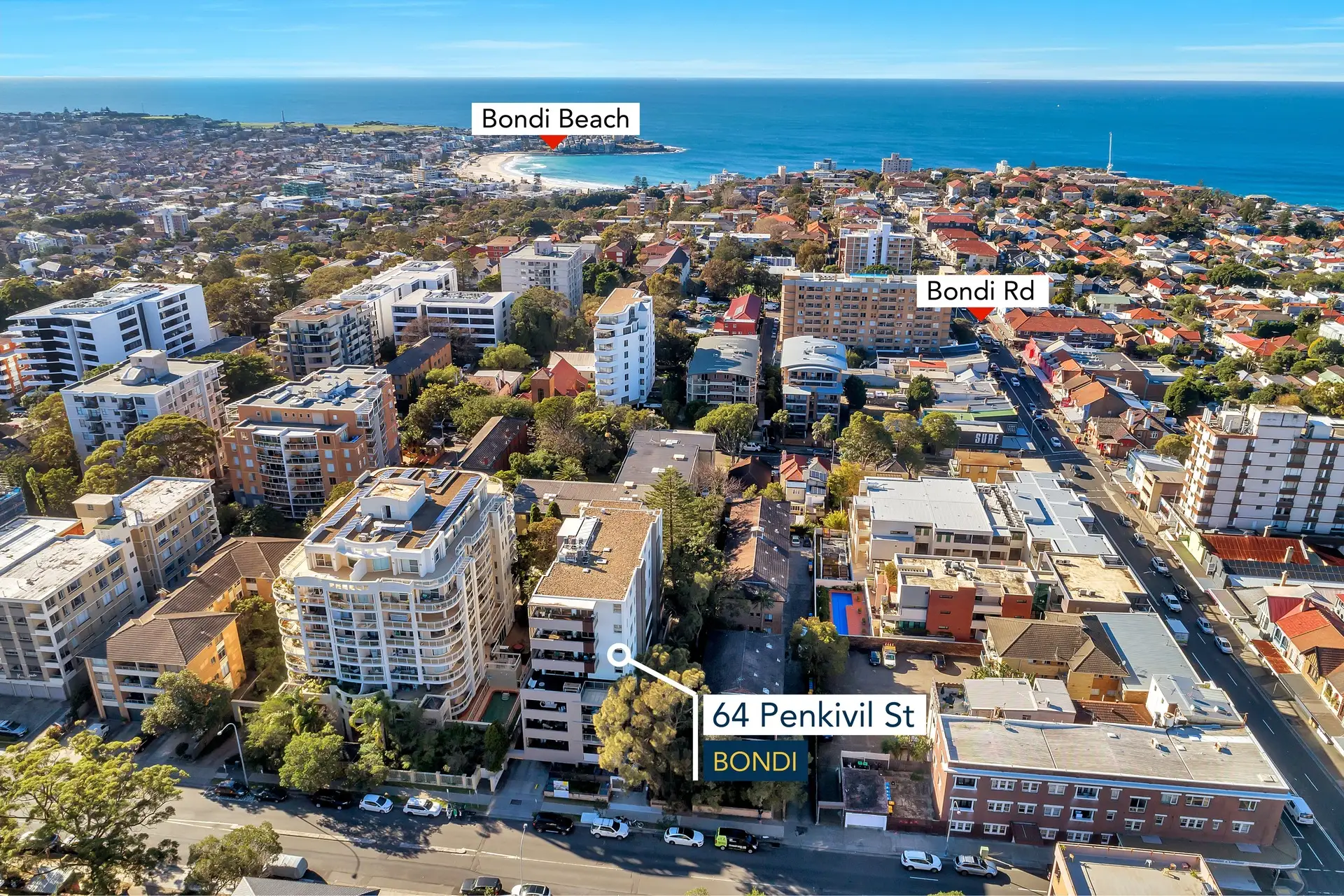 9/64 Penkivil Street, Bondi Sold by Bradfield Badgerfox - image 1