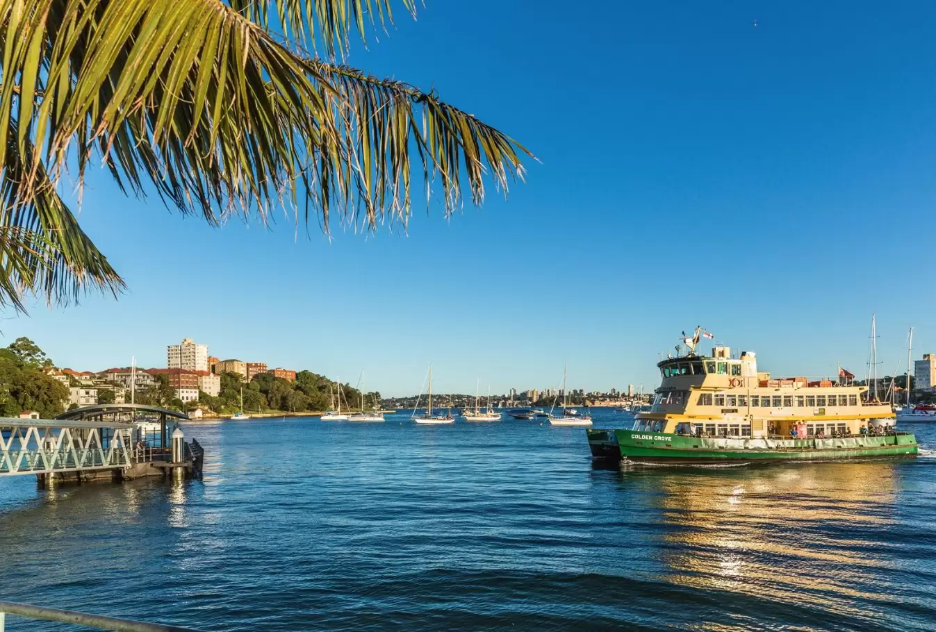 4/93 Kurraba Road, Neutral Bay For Lease by Bradfield Badgerfox - image 1