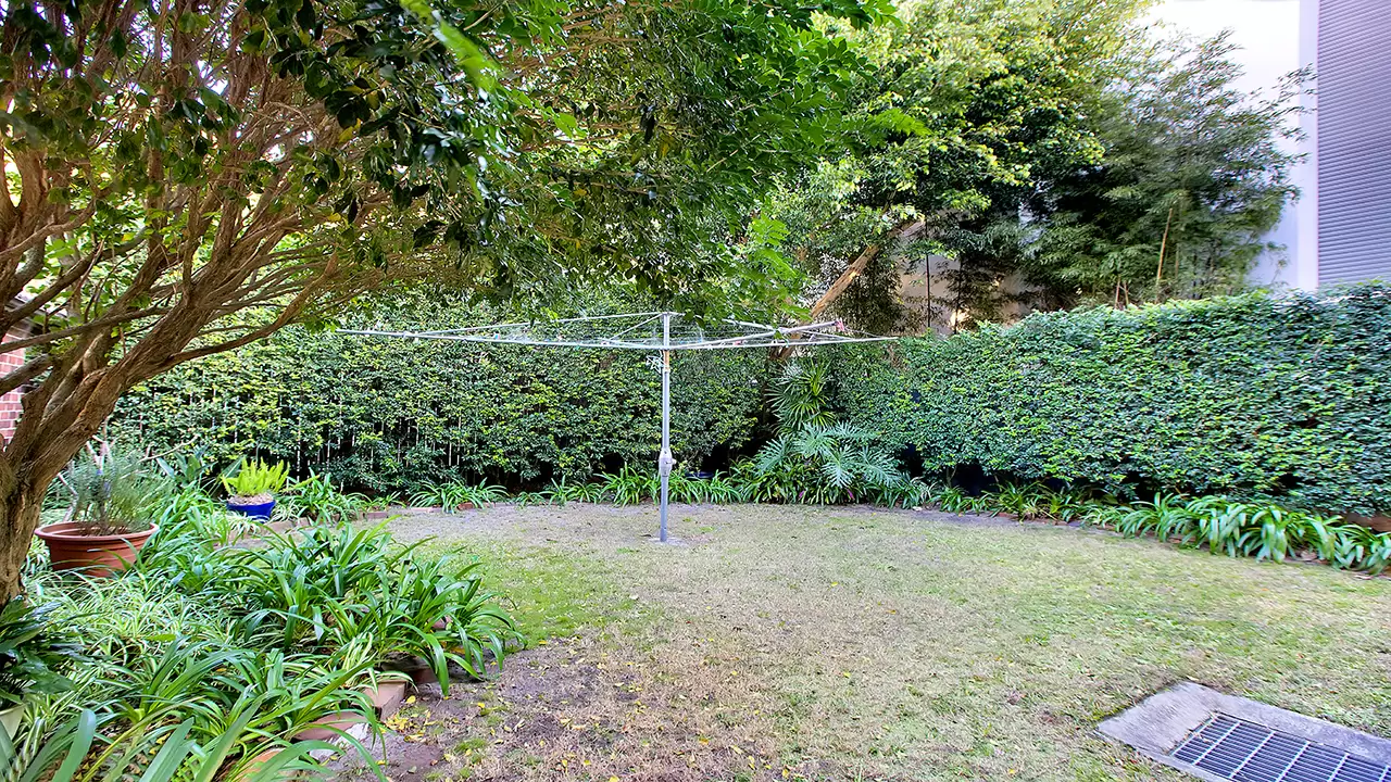 2/61 William Street, Double Bay For Lease by Bradfield Badgerfox - image 1