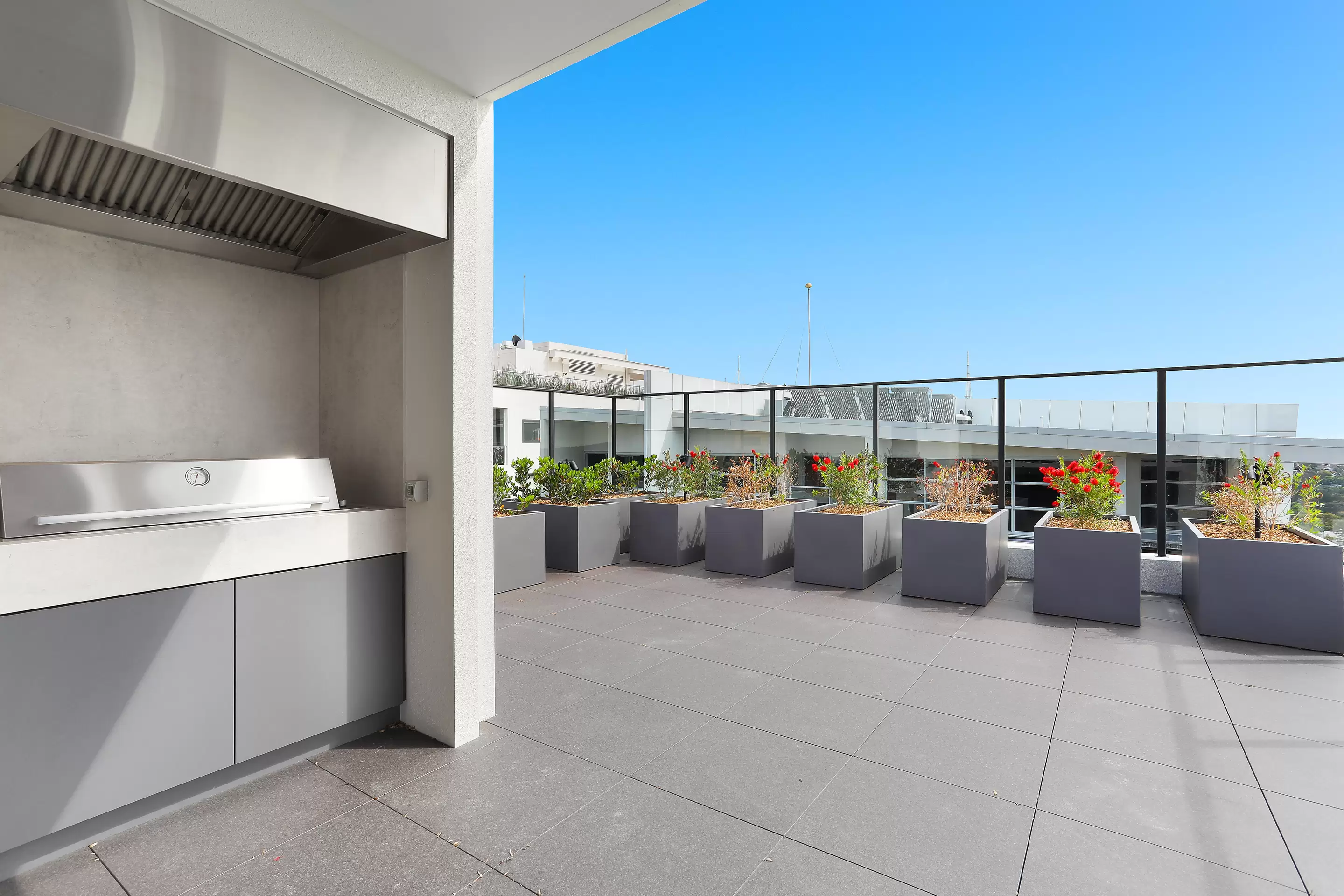 305/28 Albany Street, St Leonards Leased by Bradfield Badgerfox - image 1