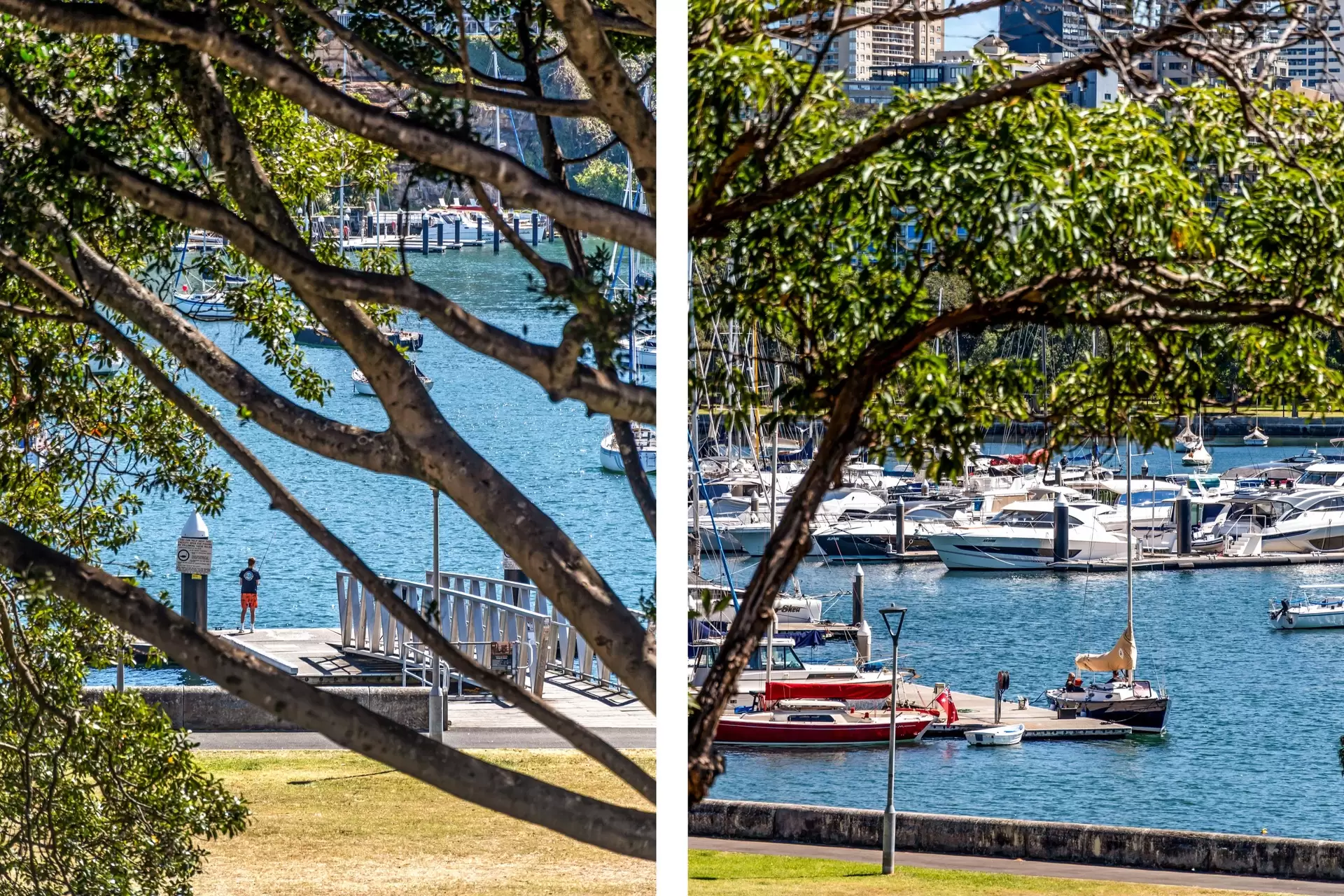 25D Yarranabbe Road, Darling Point Sold by Bradfield Badgerfox - image 1