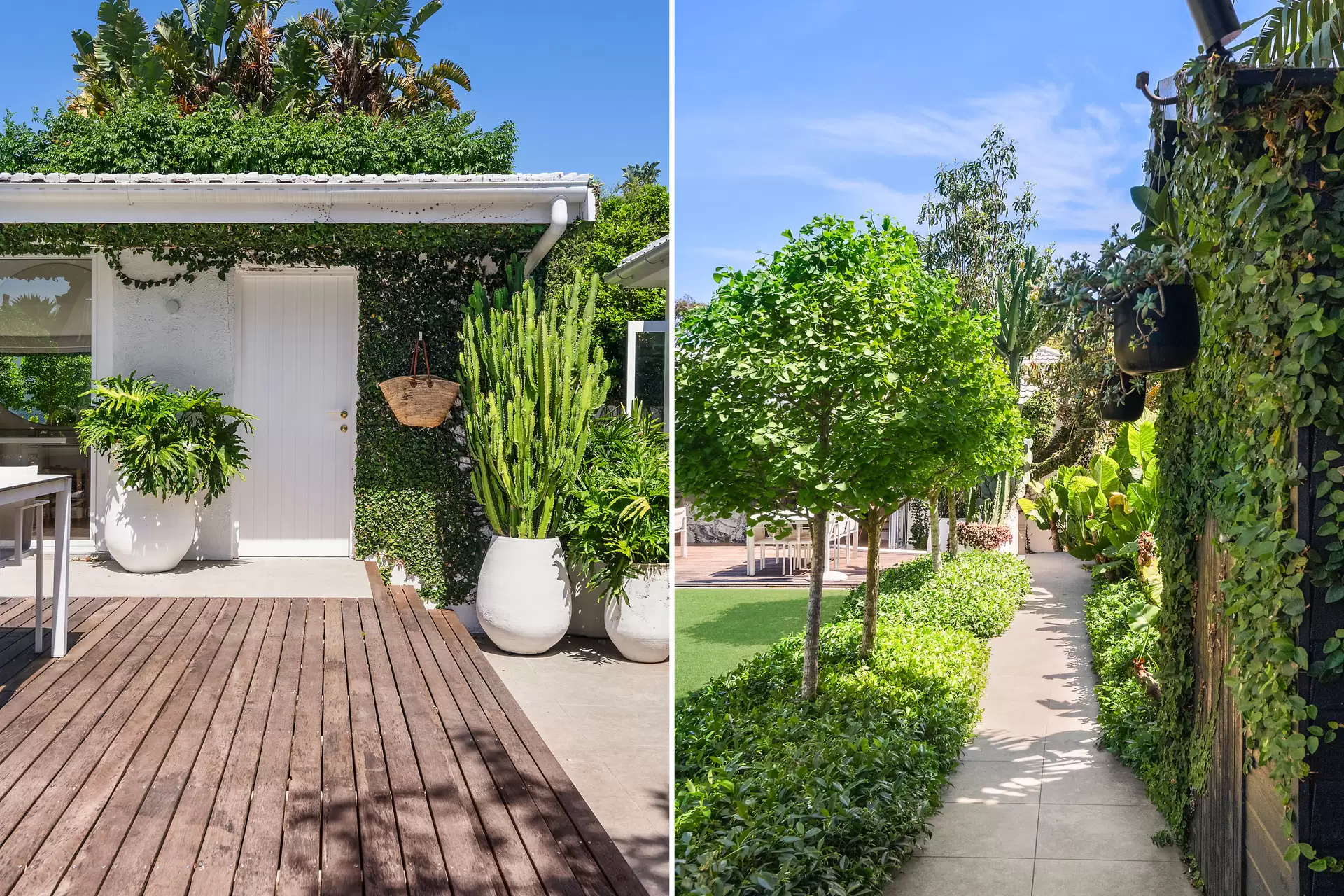 19 Serpentine Parade, Vaucluse Auction by Bradfield Badgerfox - image 1