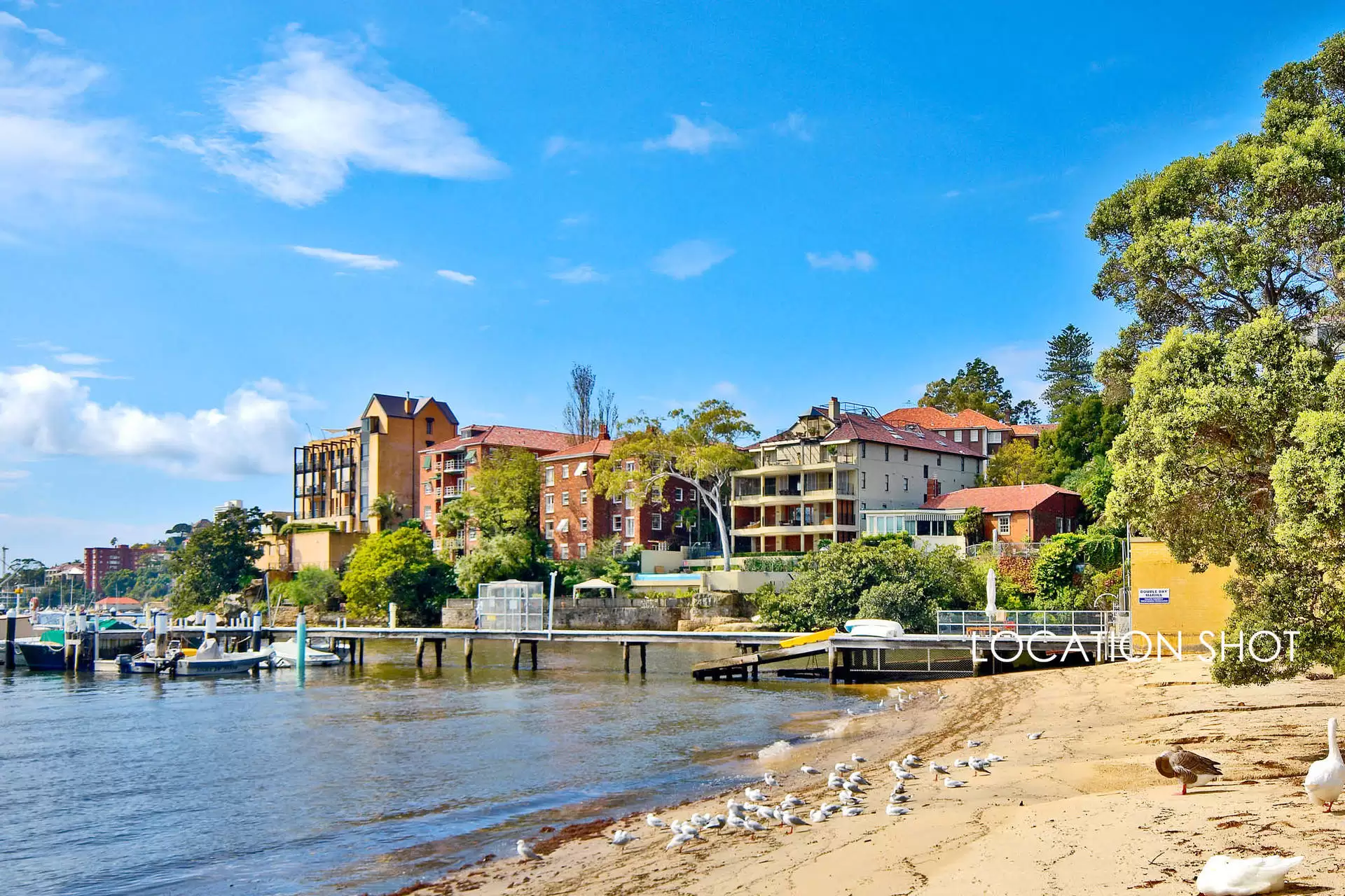 5/286 New South Head Road, Double Bay Auction by Bradfield Badgerfox - image 1