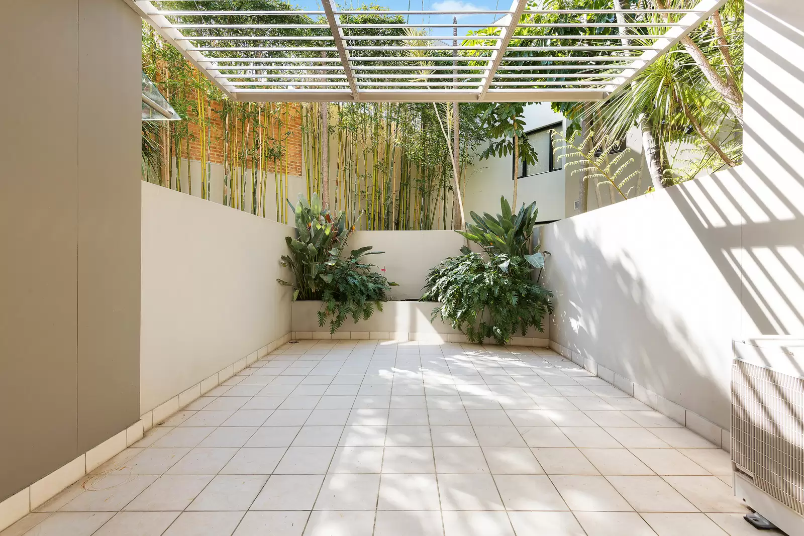 2/117 Bronte Road, Bondi Junction Leased by Bradfield Badgerfox - image 1