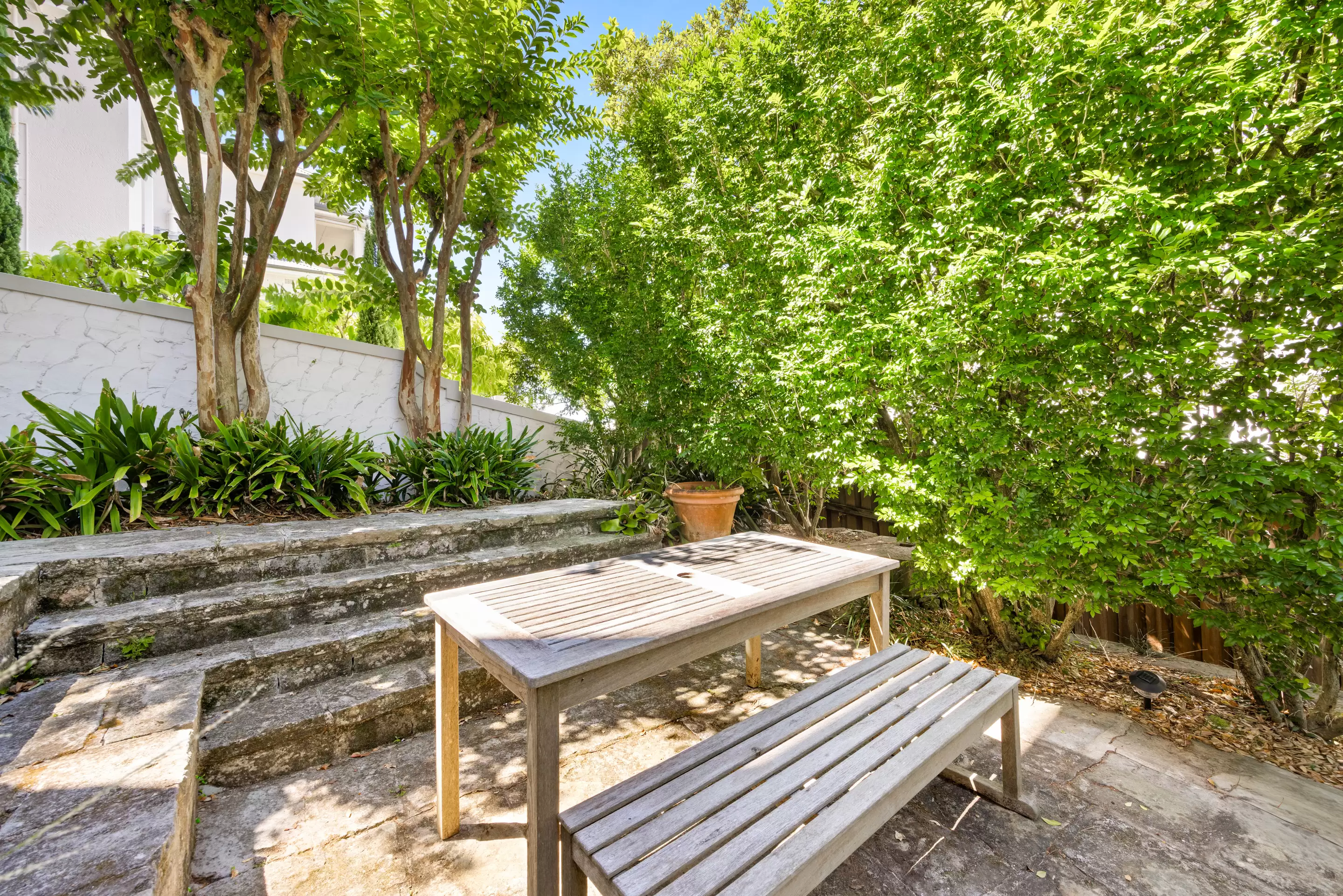 2/311A Edgecliff Road, Woollahra Leased by Bradfield Badgerfox - image 1