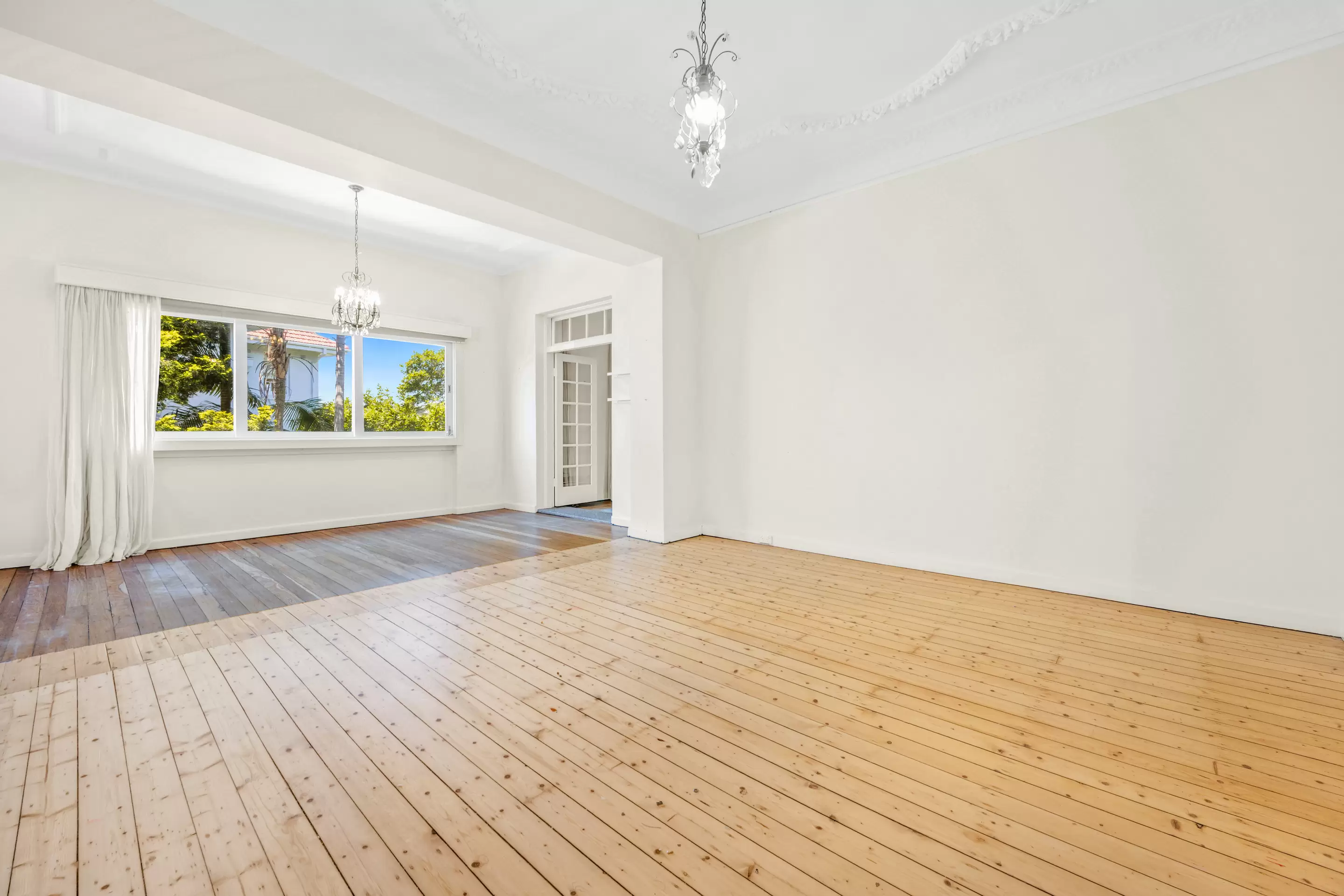 2/311A Edgecliff Road, Woollahra Leased by Bradfield Badgerfox - image 1