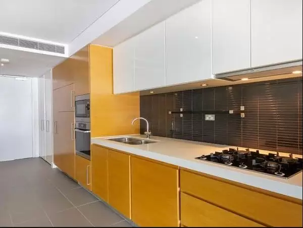 3302/12-14 Neild Avenue, Rushcutters Bay Leased by Bradfield Badgerfox - image 1