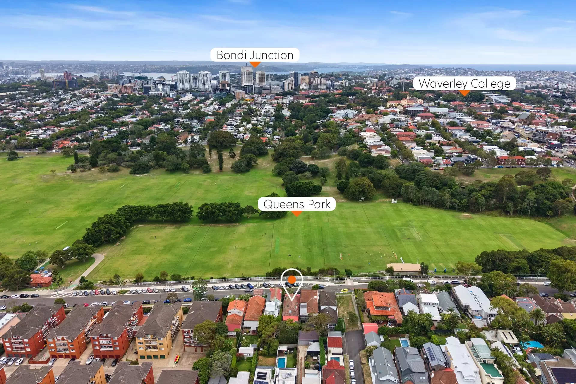 245 Darley Road, Randwick Auction by Bradfield Badgerfox - image 1
