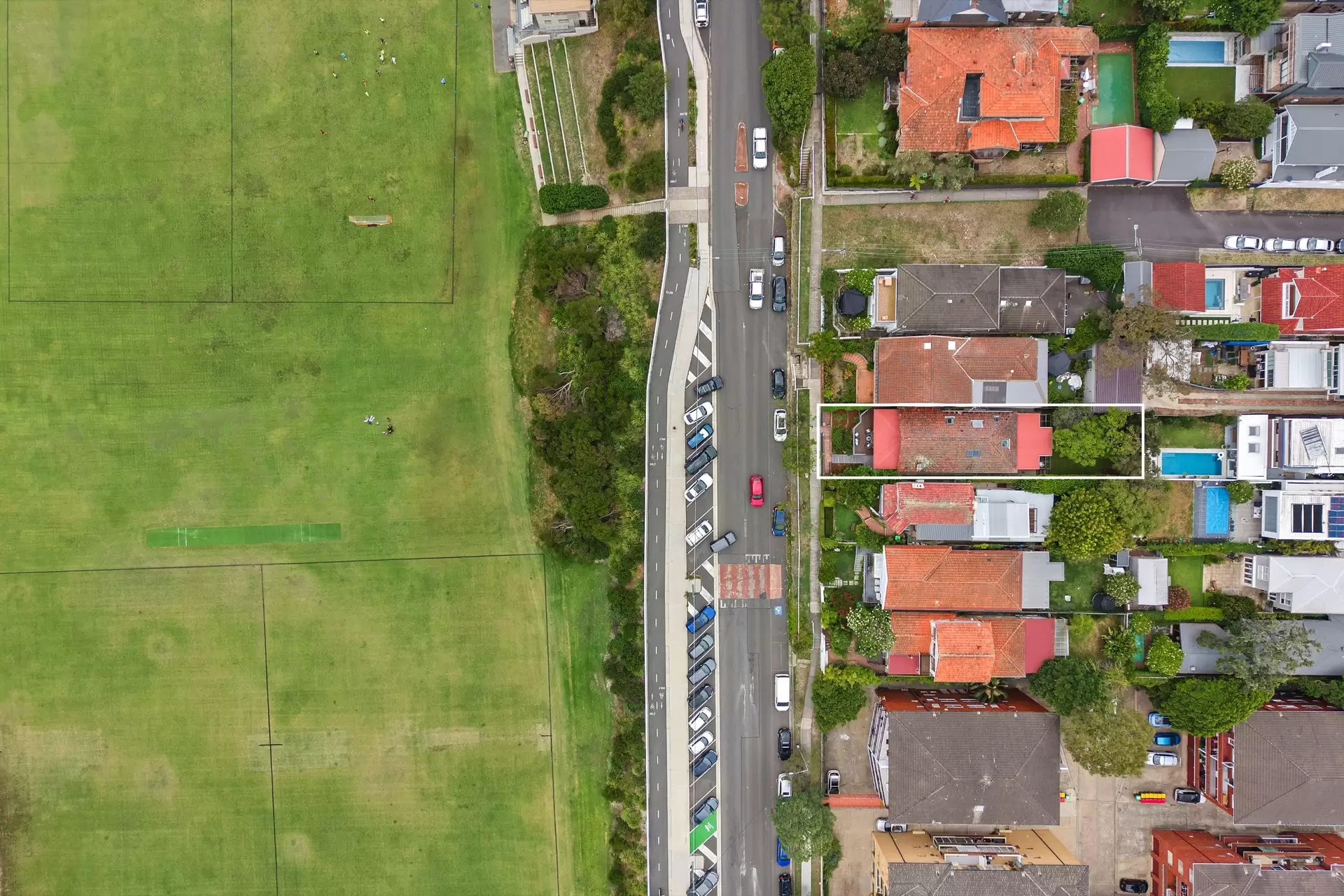 245 Darley Road, Randwick Auction by Bradfield Badgerfox - image 1