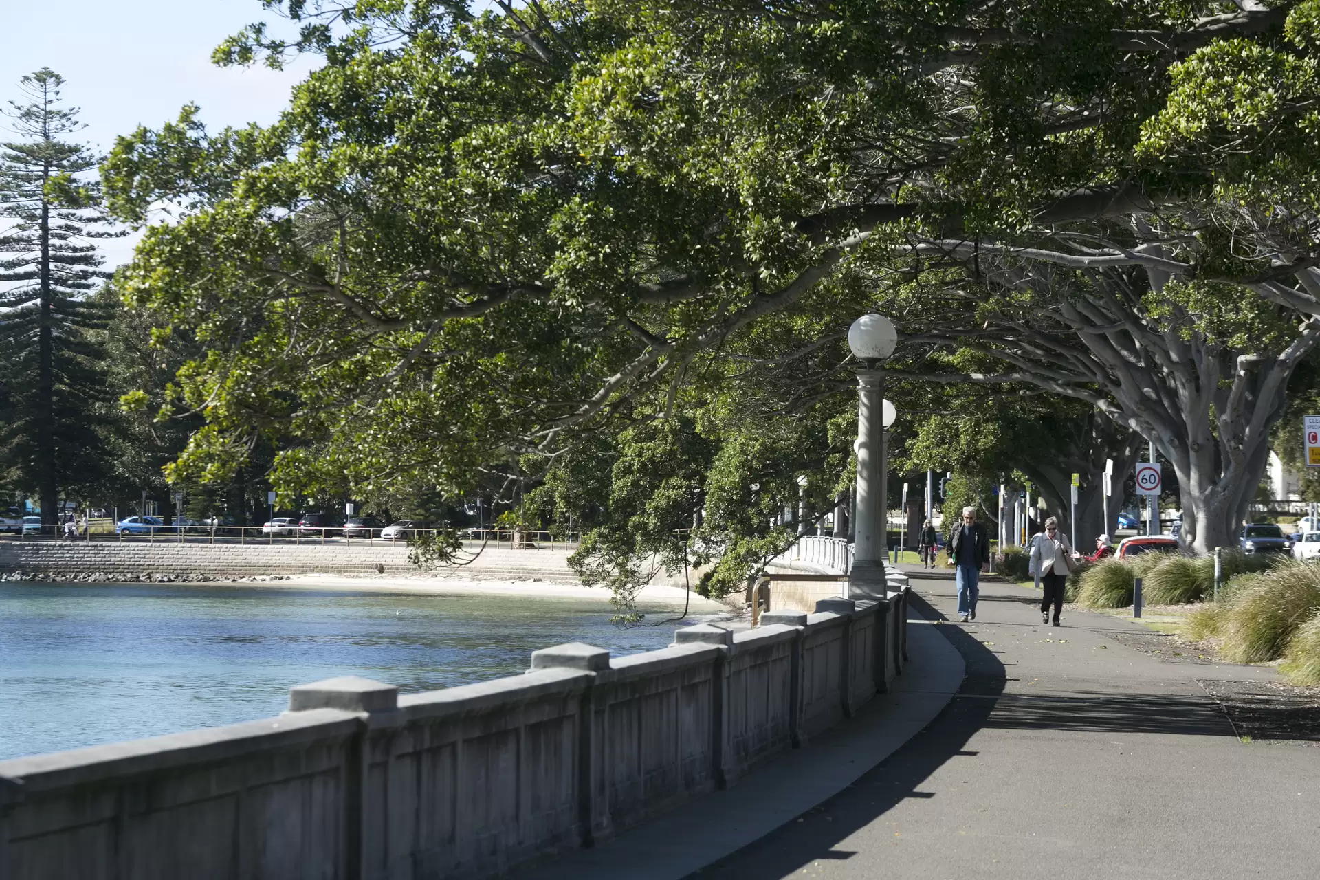 3/55 Boronia Road, Bellevue Hill Auction by Bradfield Badgerfox - image 1