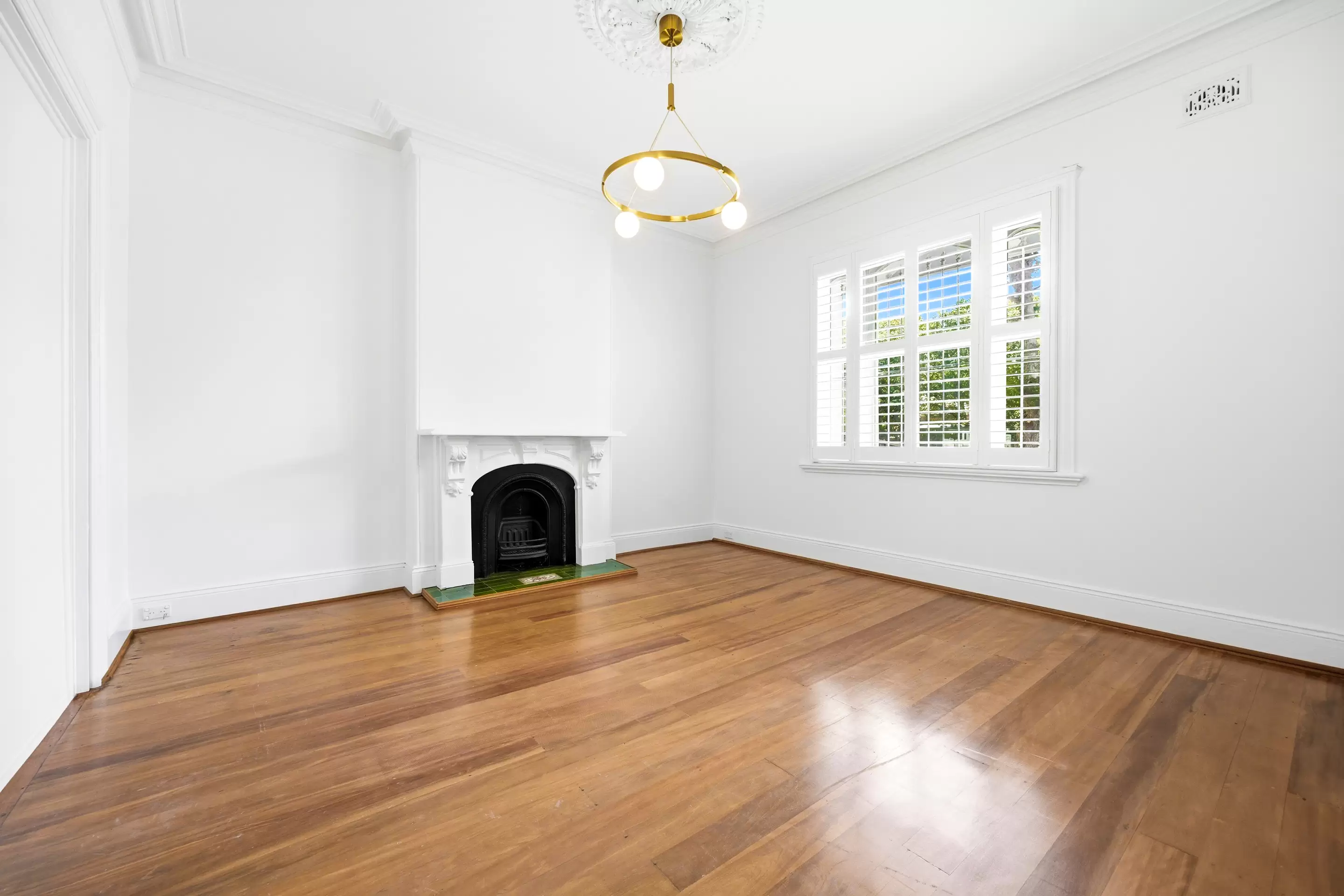 59 Avoca Street, Randwick For Lease by Bradfield Badgerfox - image 1