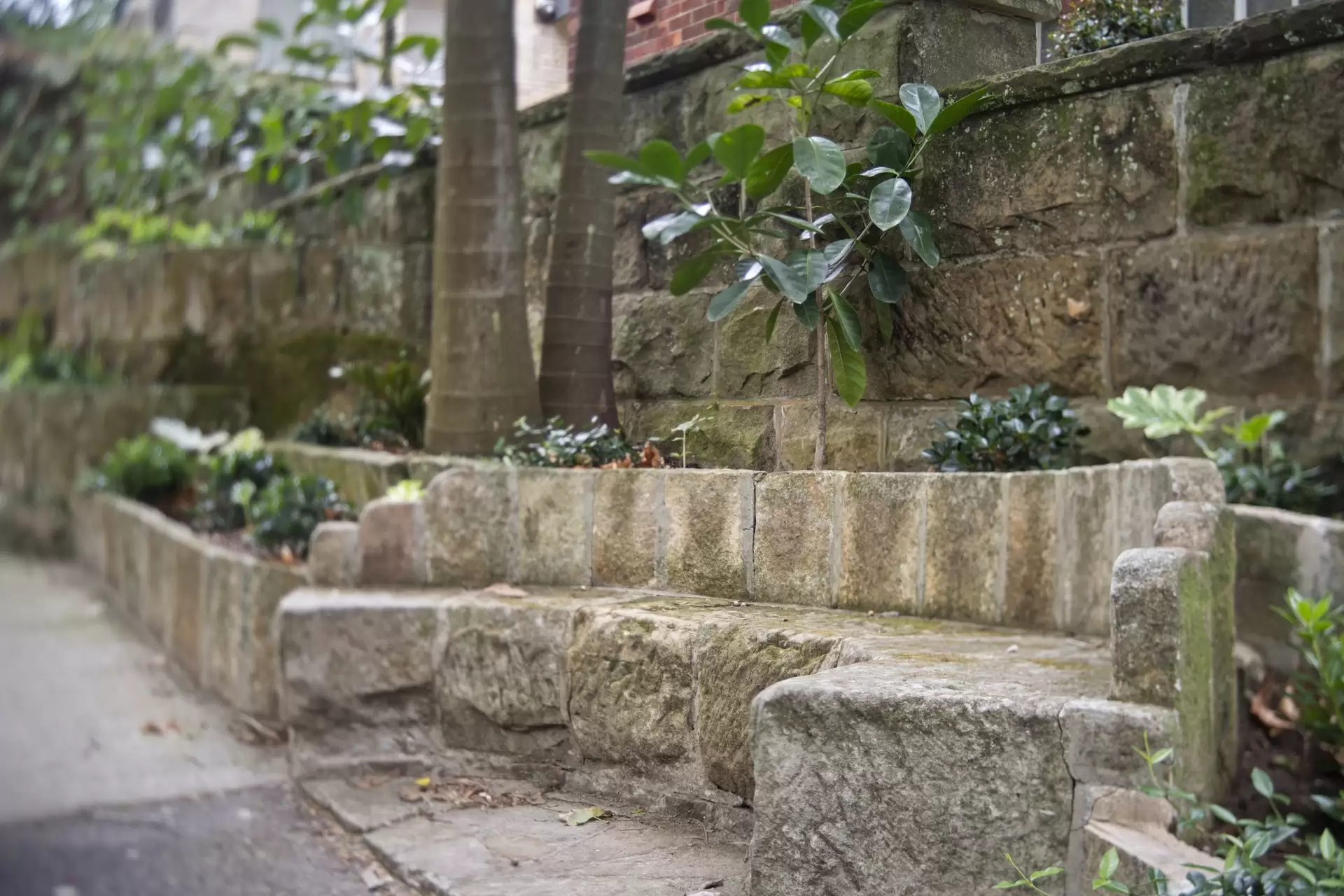 26 Rosemont Avenue, Woollahra For Sale by Bradfield Badgerfox - image 1