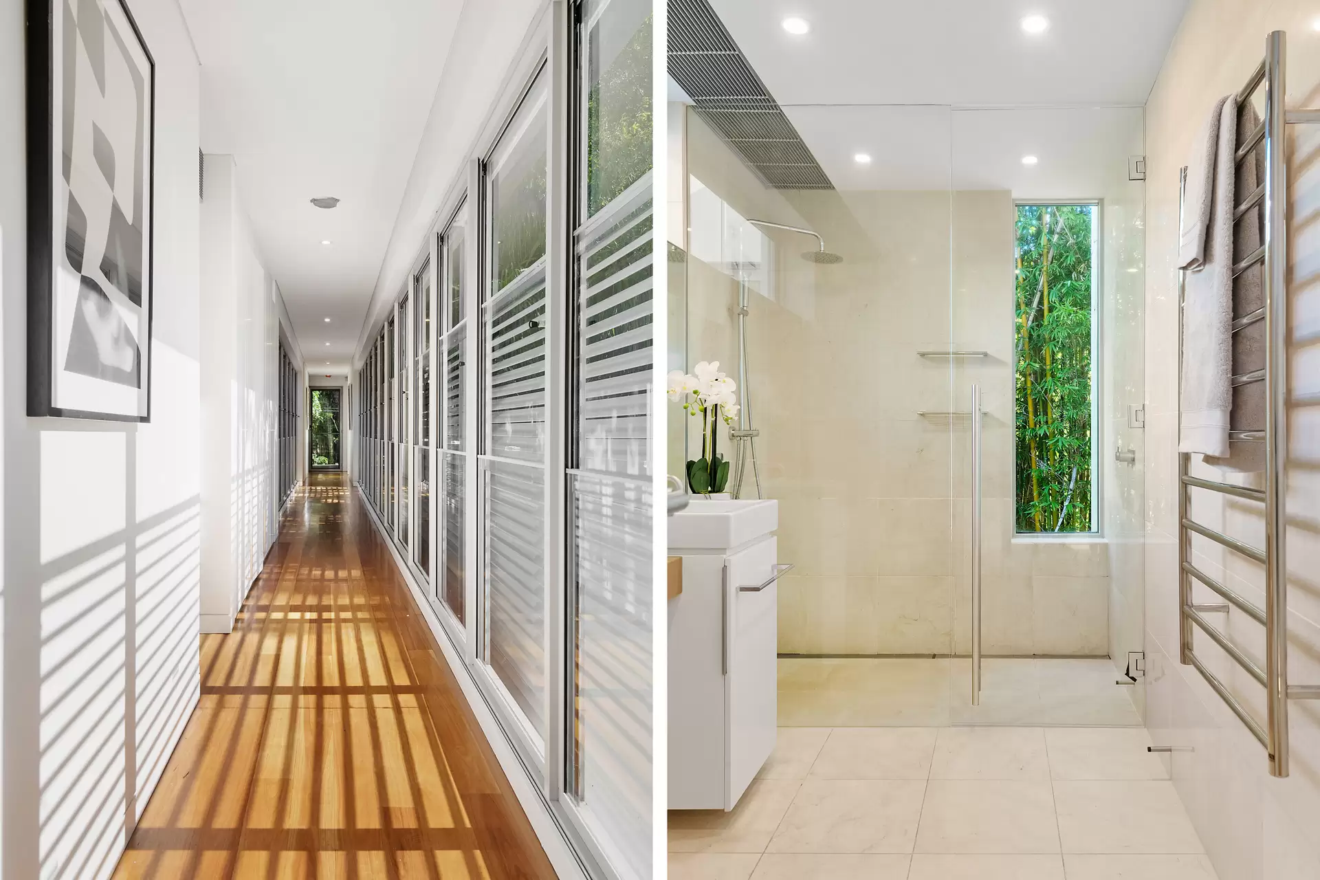 3/59 William Street, Double Bay Auction by Bradfield Badgerfox - image 1