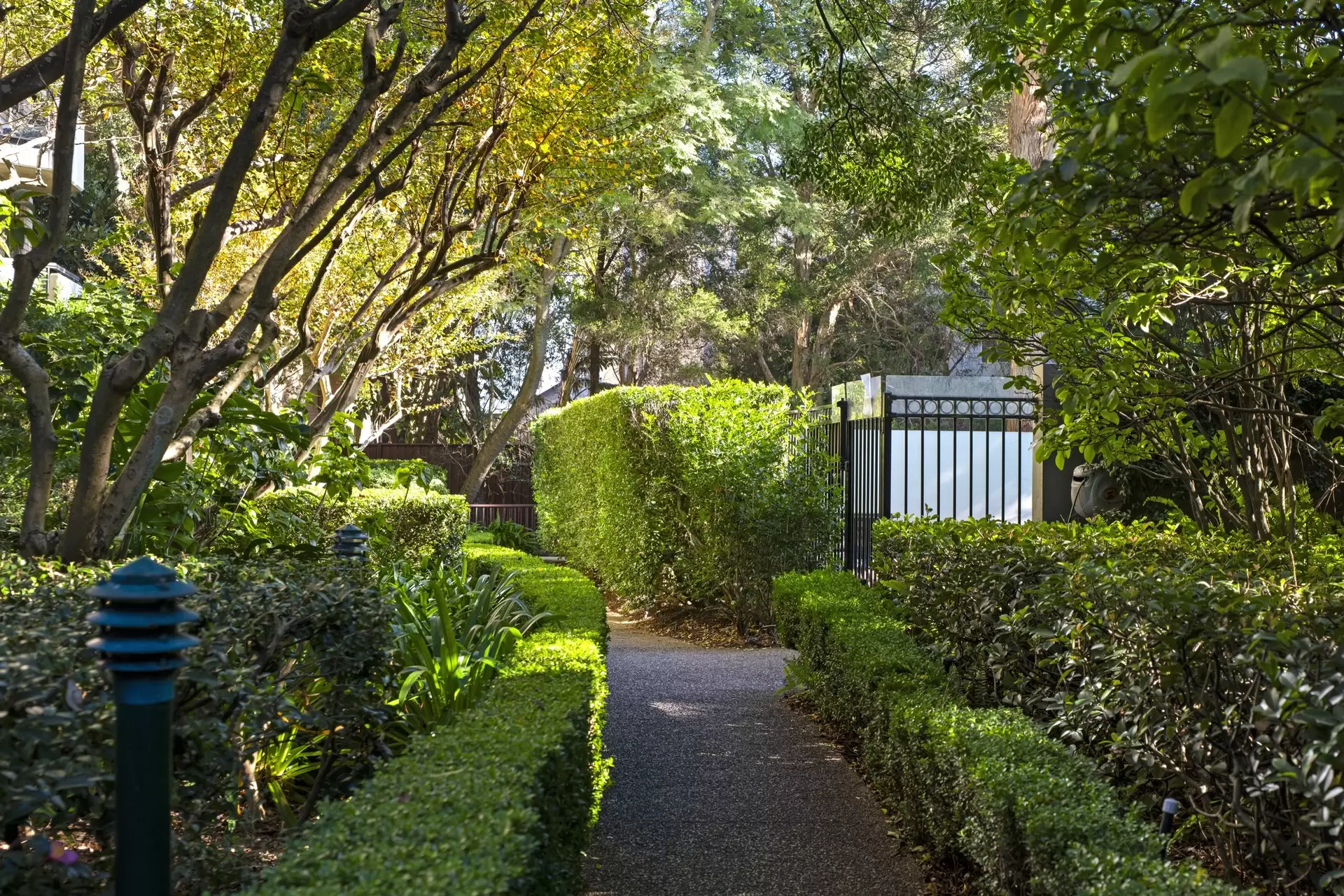41/1 Tewkesbury Avenue, Darlinghurst Auction by Bradfield Badgerfox - image 1