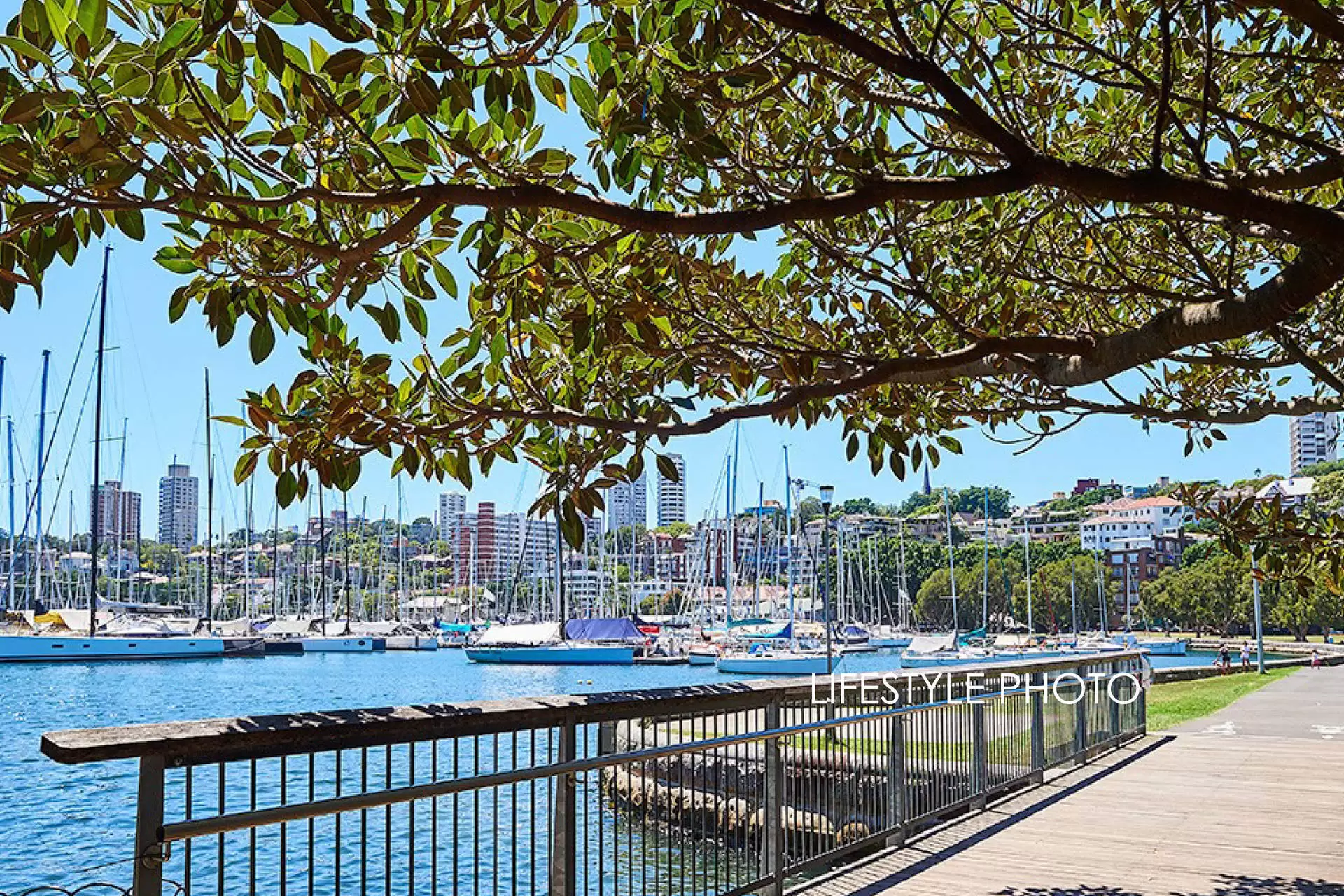 5/52 Darling Point Road, Darling Point Auction by Bradfield Badgerfox - image 1